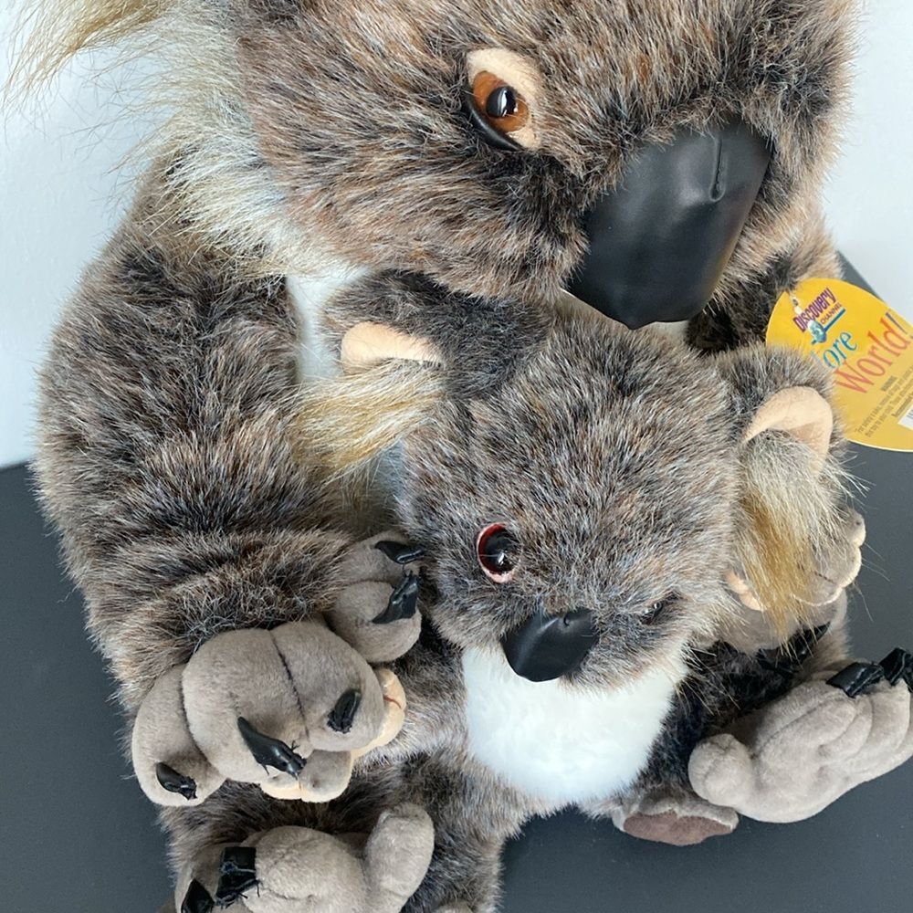 Vintage 1999 Discovery Channel 16” Koala Bear Plush Realistic Stuffed Animal Toy